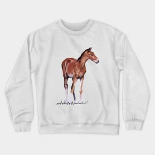 Horse - Foal Drawing Crewneck Sweatshirt